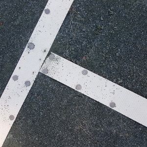 Meet your Posher, Scott